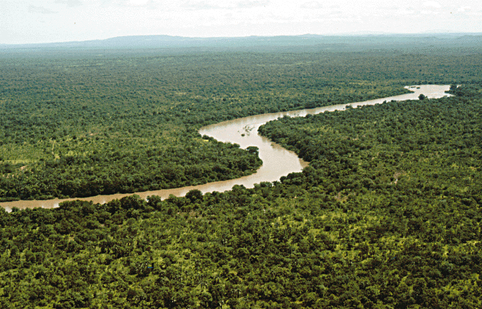 Река Гамбия в национальном парке Ниоколо-Коба