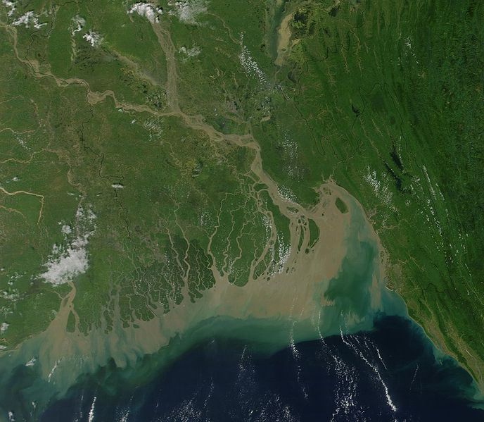 Спутниковый снимок дельты реки Ганга