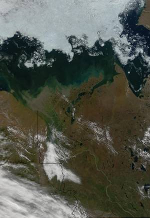 Спутниковый снимок дельты реки Маккензи