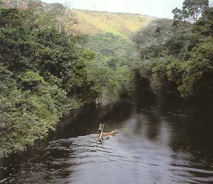 Крокодилы на реке Конго