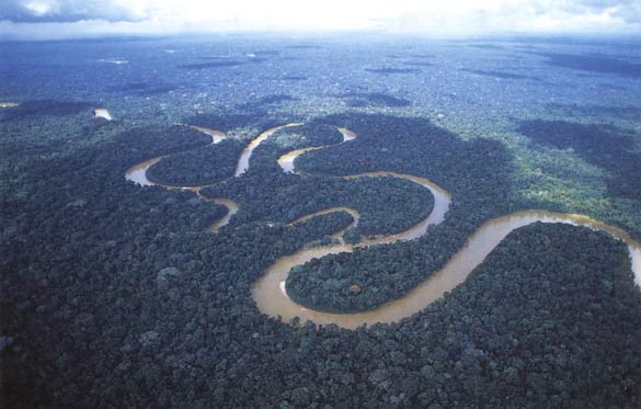 Вид реки Амазонки сверху
